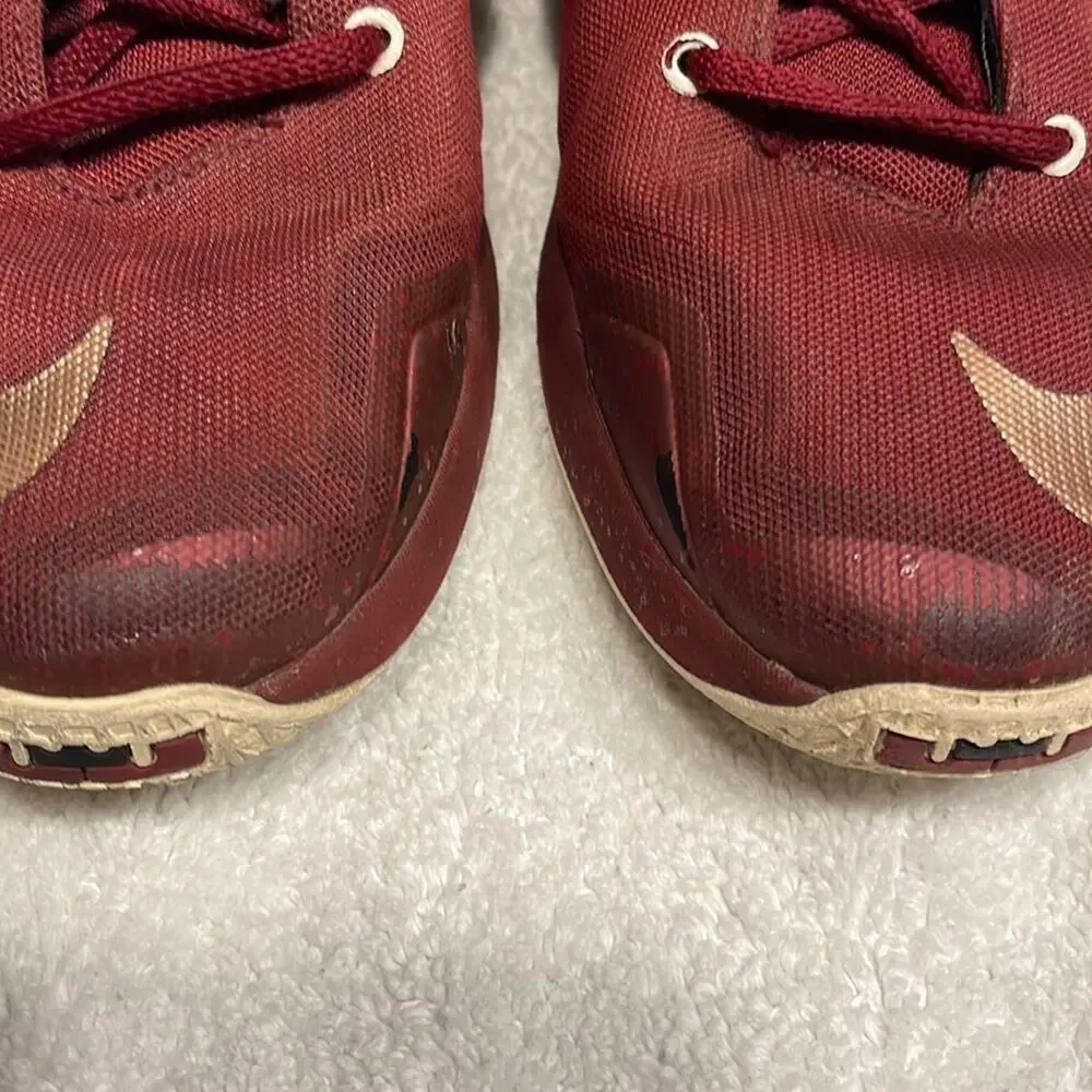 Nike lebron 13